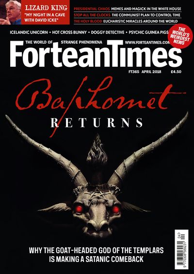 FT365.jpg