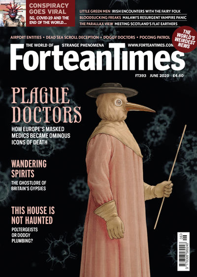 FT393.jpg