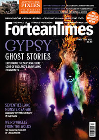 Fortean Times #407 (July 2021)