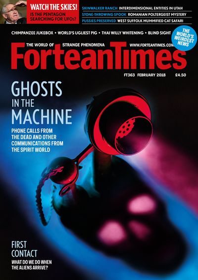 FT363.jpg