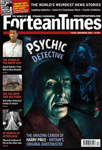 Fortean Times #229 (November 2007)