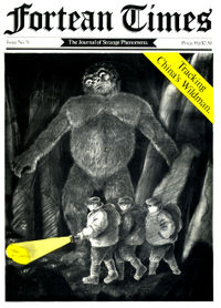 Fortean Times #31 (Spring 1980)